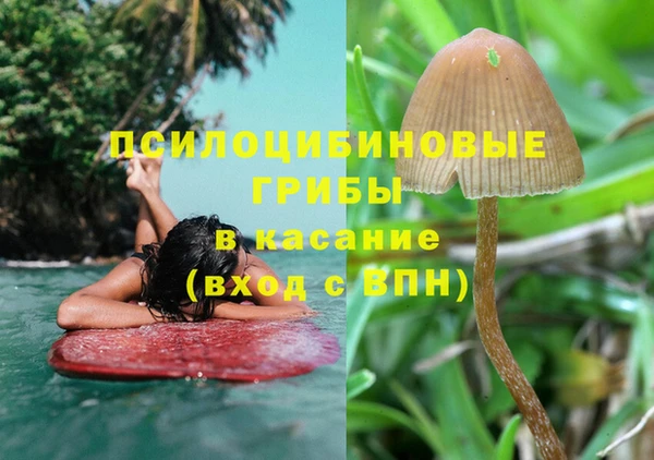 ECSTASY Армянск