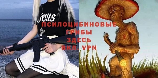гидропоника Новокубанск
