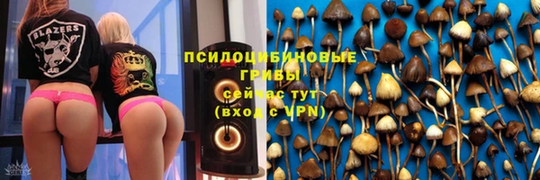 мескалин Арсеньев