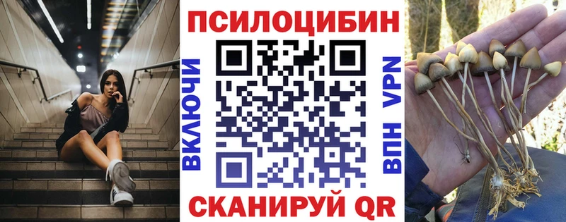 МЕГА как войти  Артёмовск  мориарти какой сайт  Псилоцибиновые грибы Psilocybe 